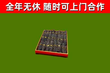双流回收海参
